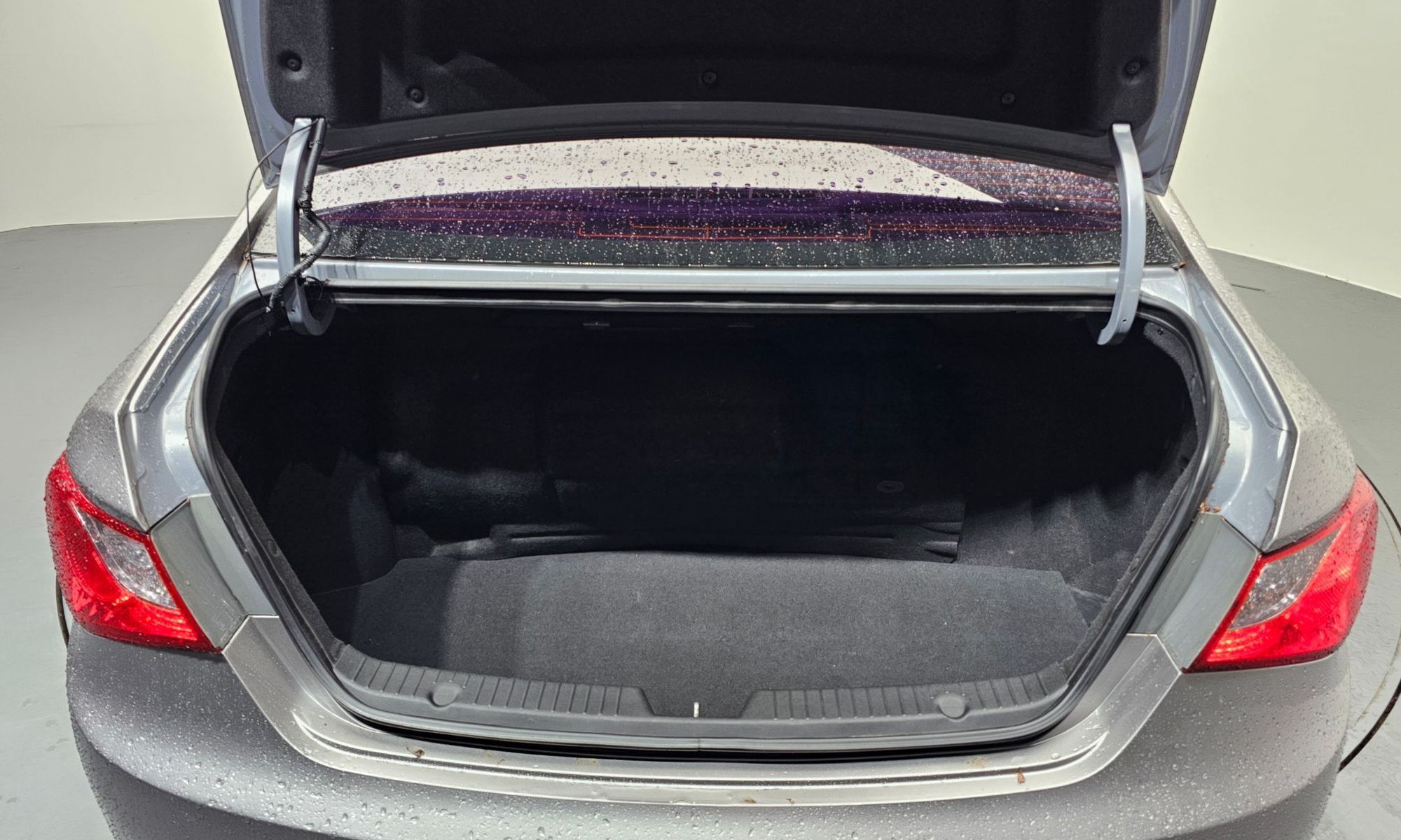 Image 19