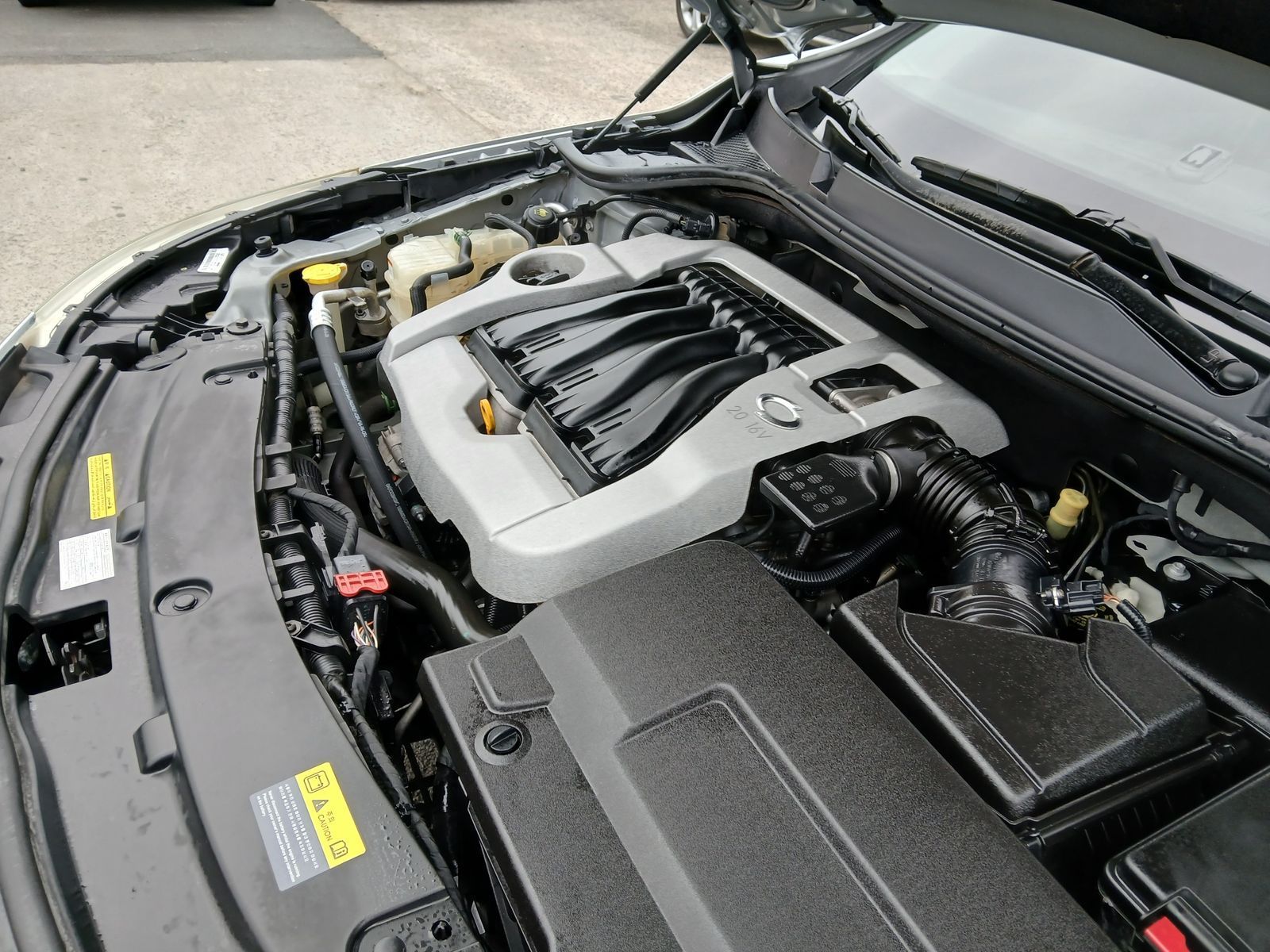 Image 6