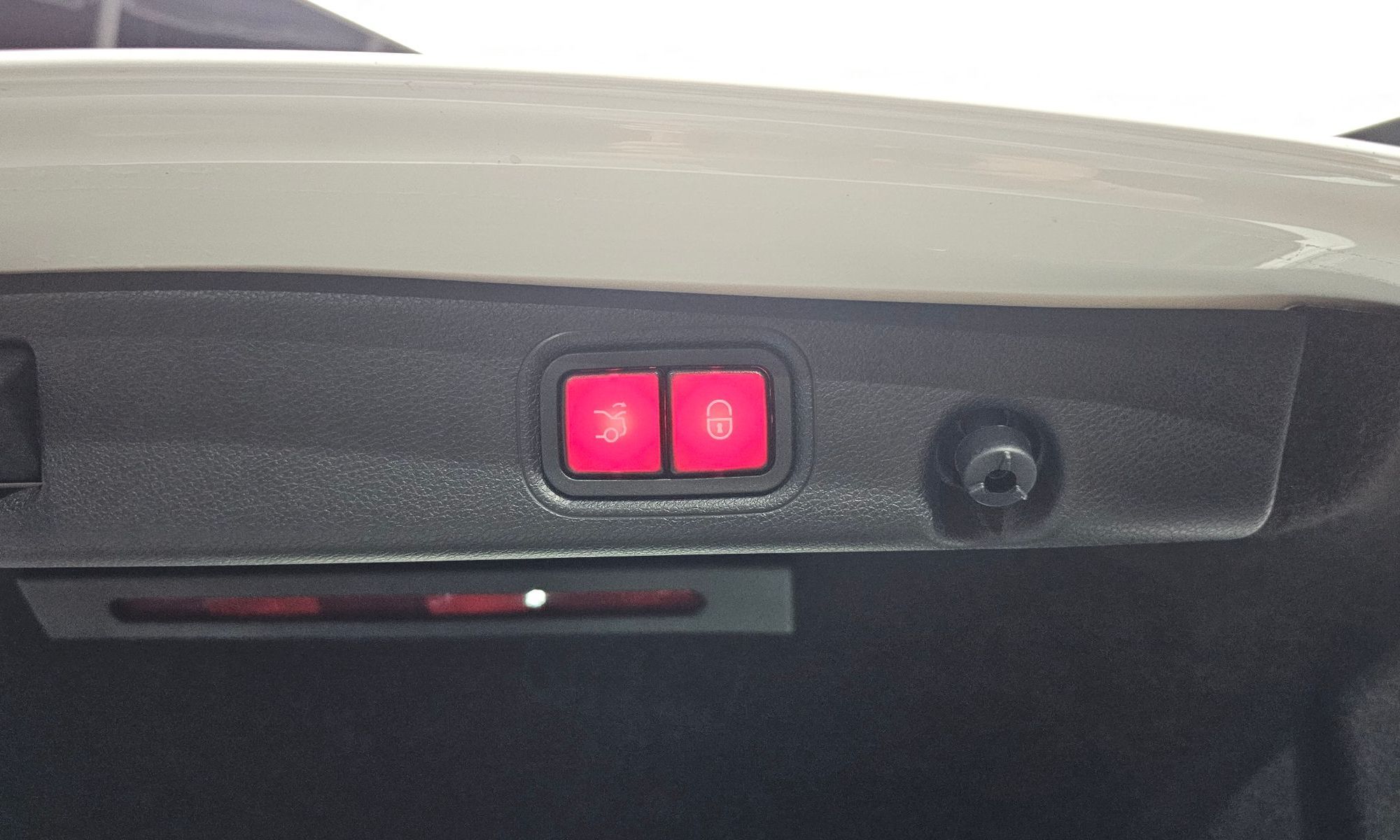 Image 19