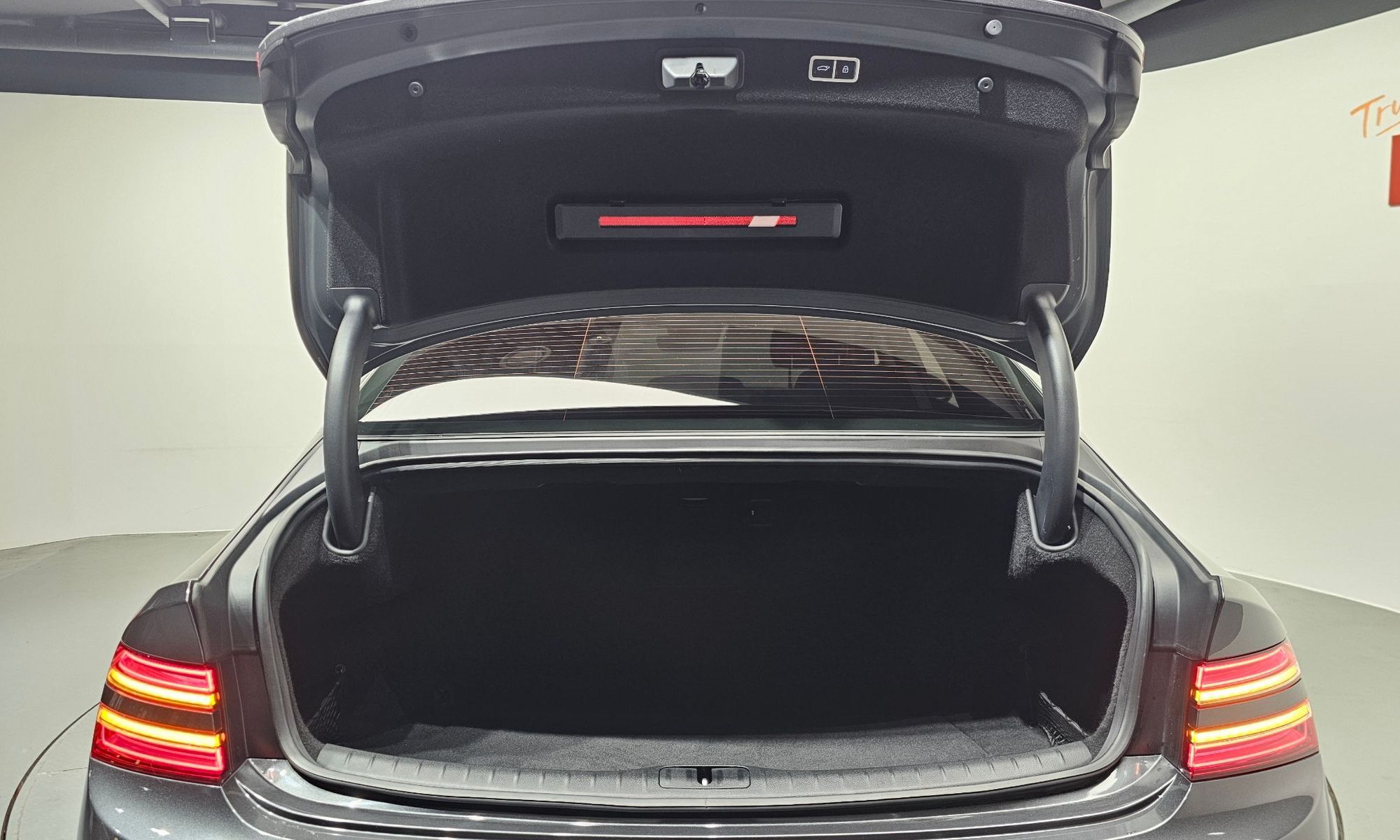 Image 19
