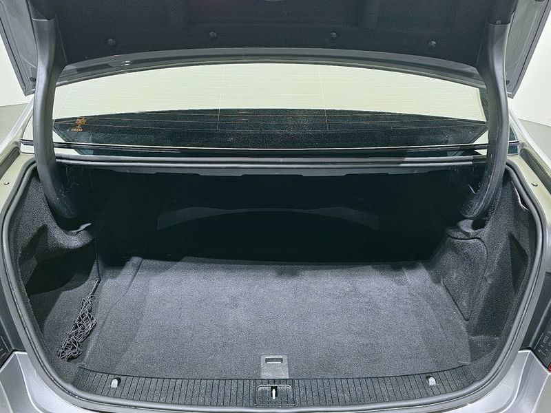 Image 19