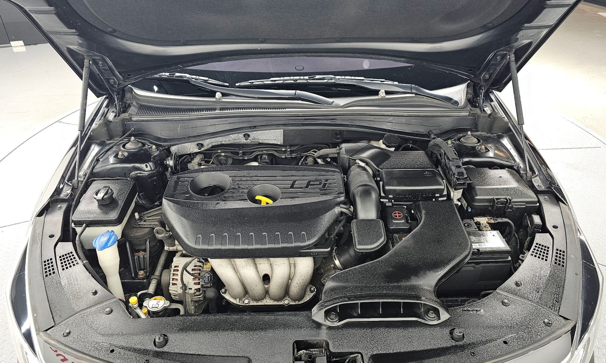Image 5
