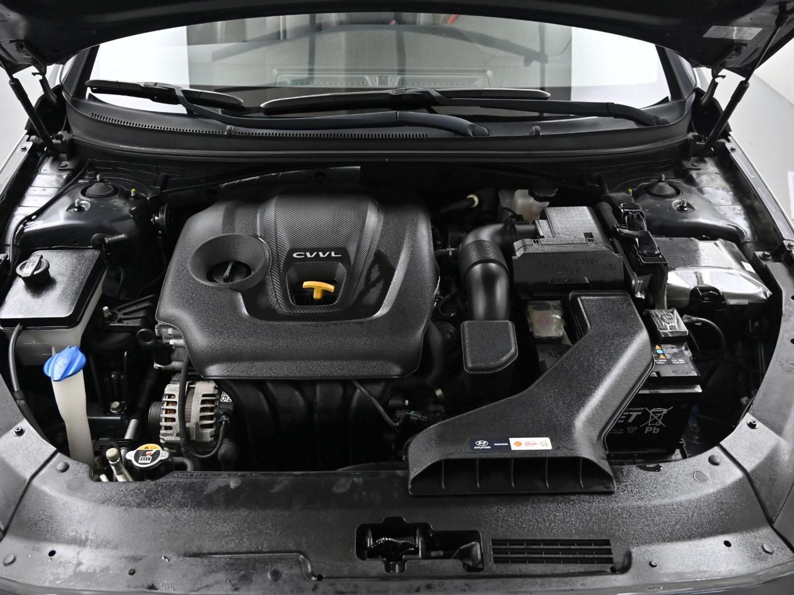Image 5