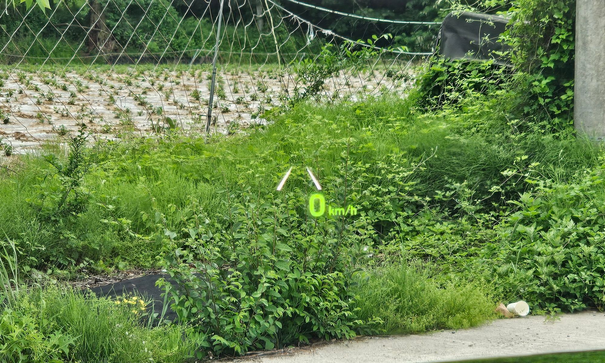 Image 12