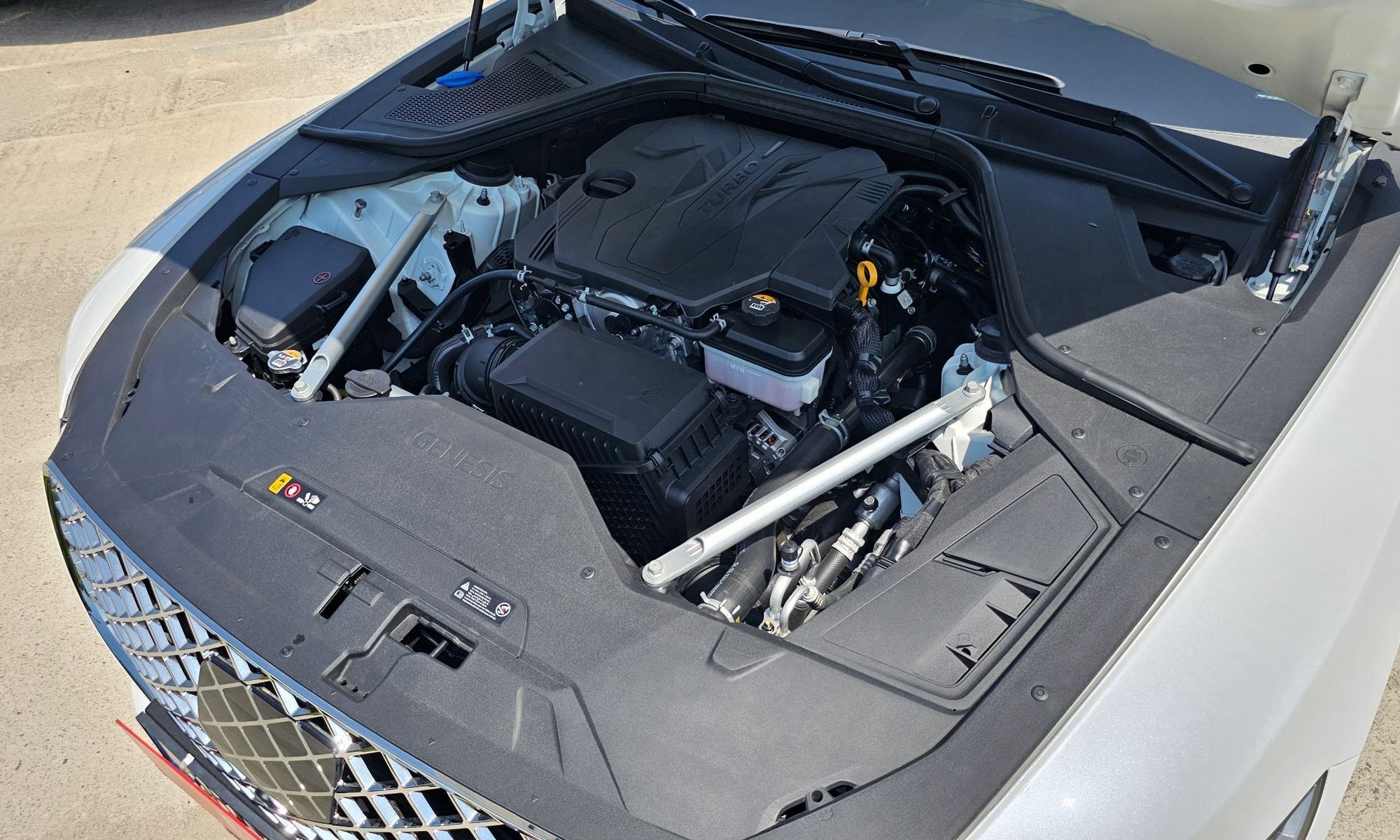 Image 5