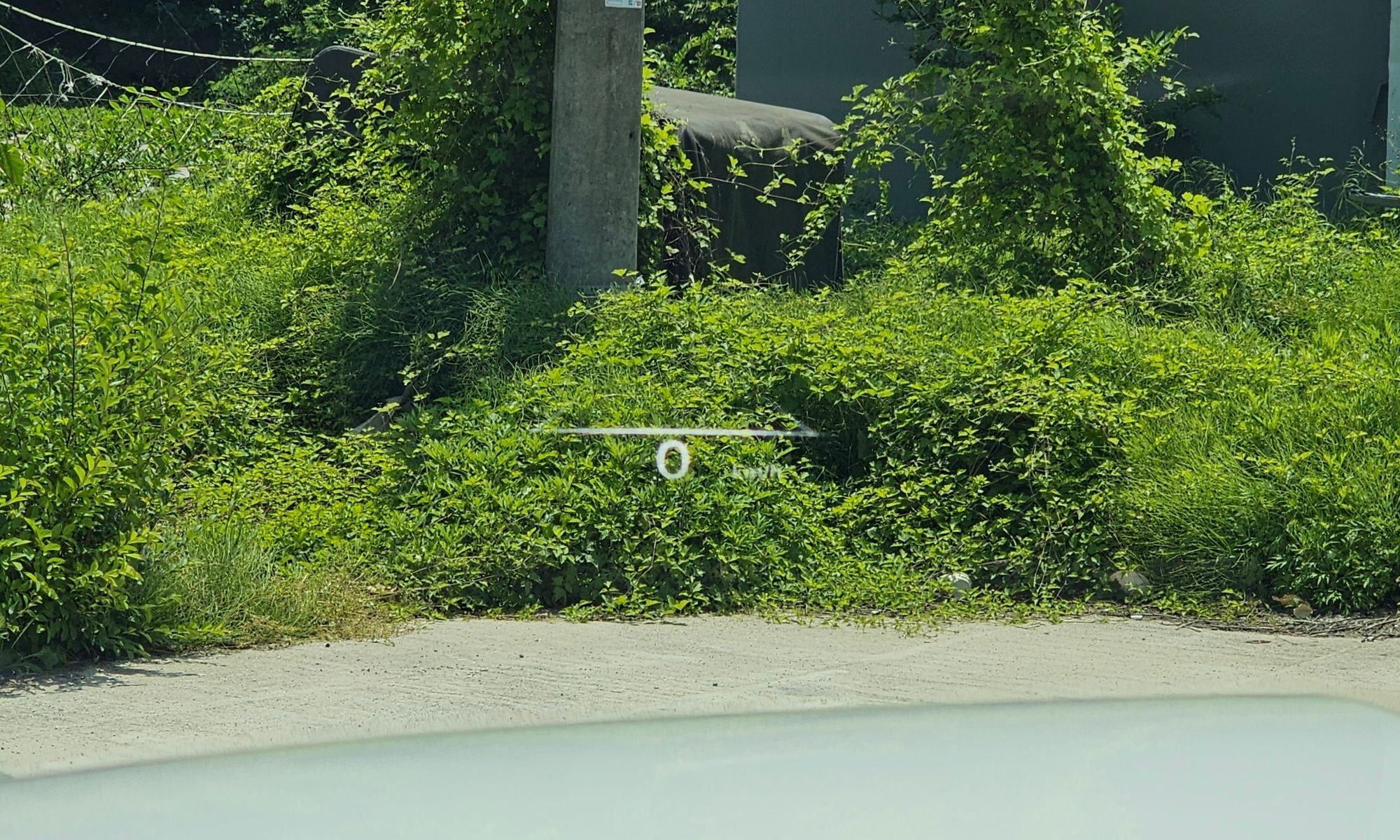 Image 13