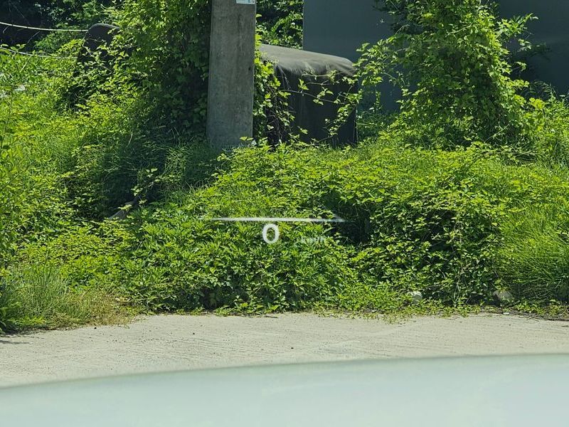 Image 13