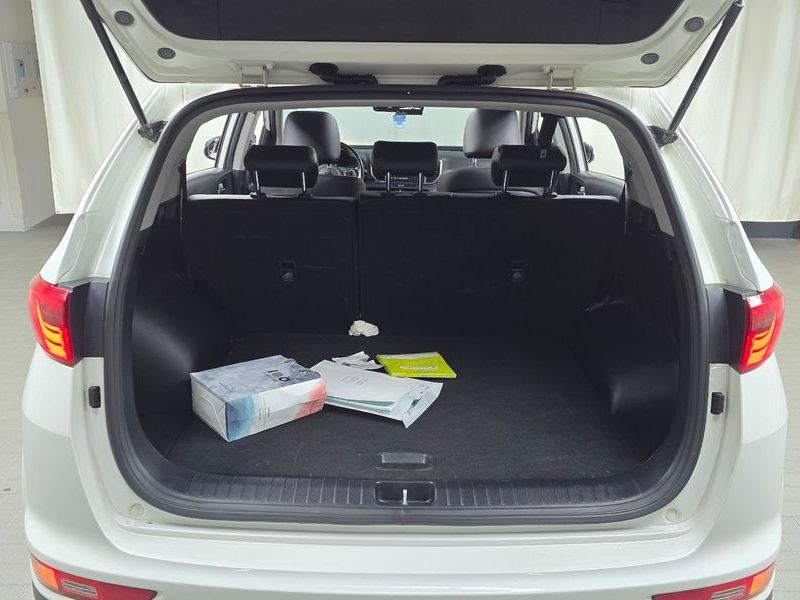 Image 19