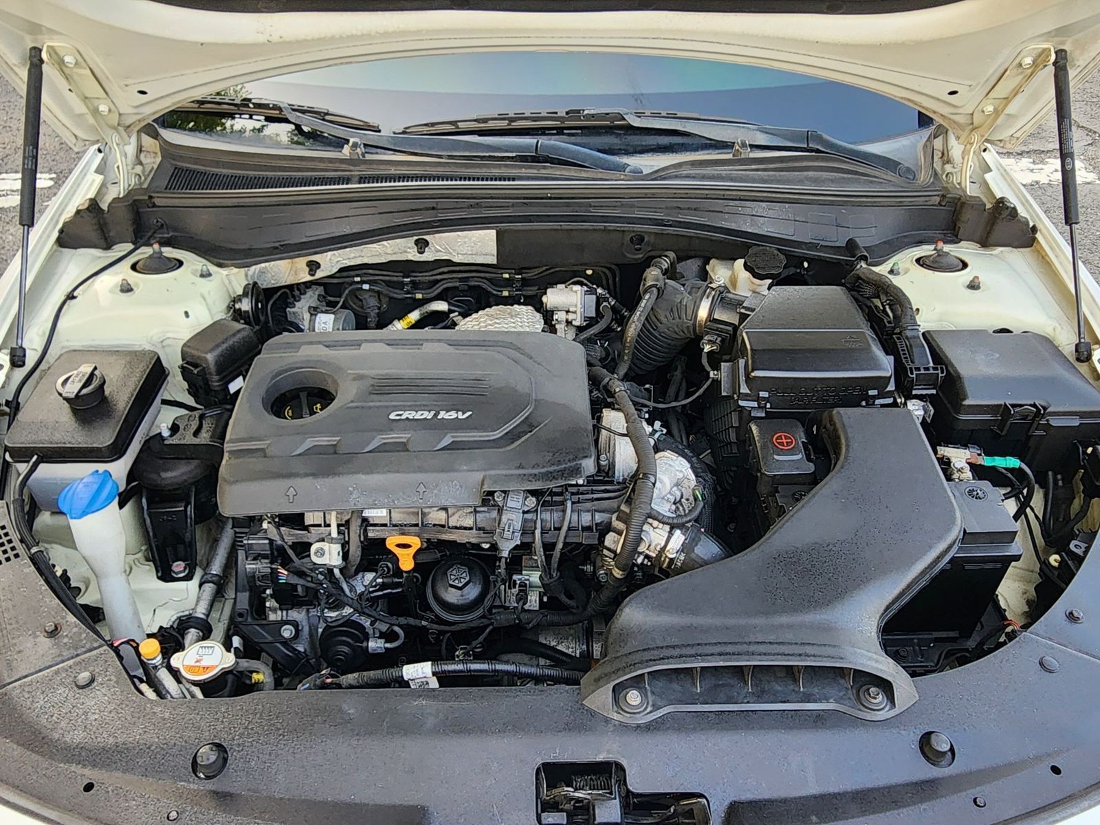 Image 8
