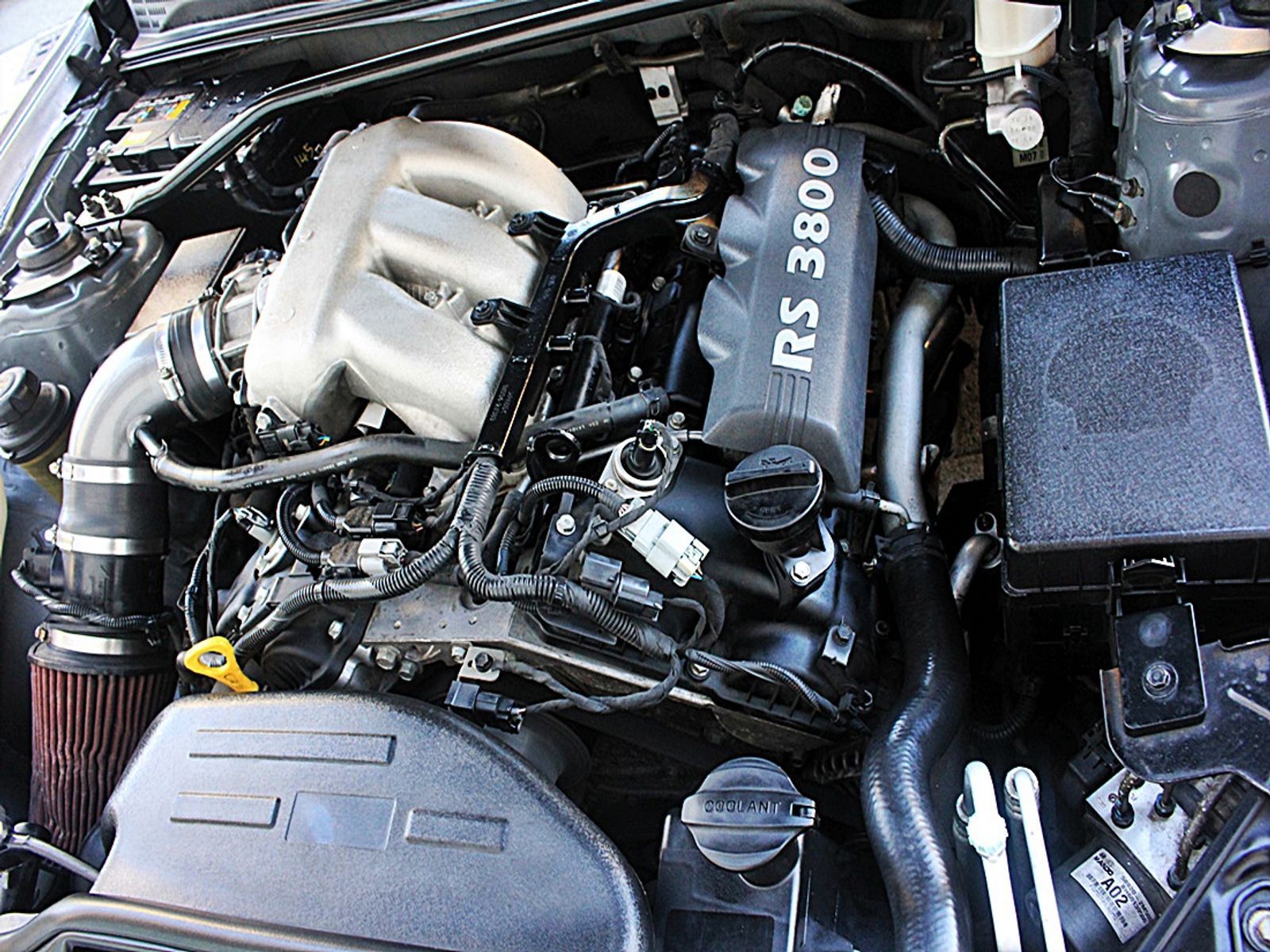 Image 5