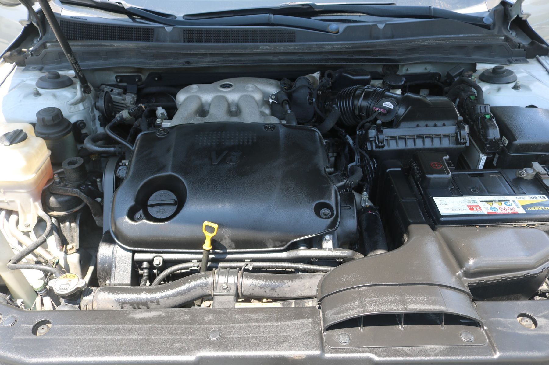 Image 5