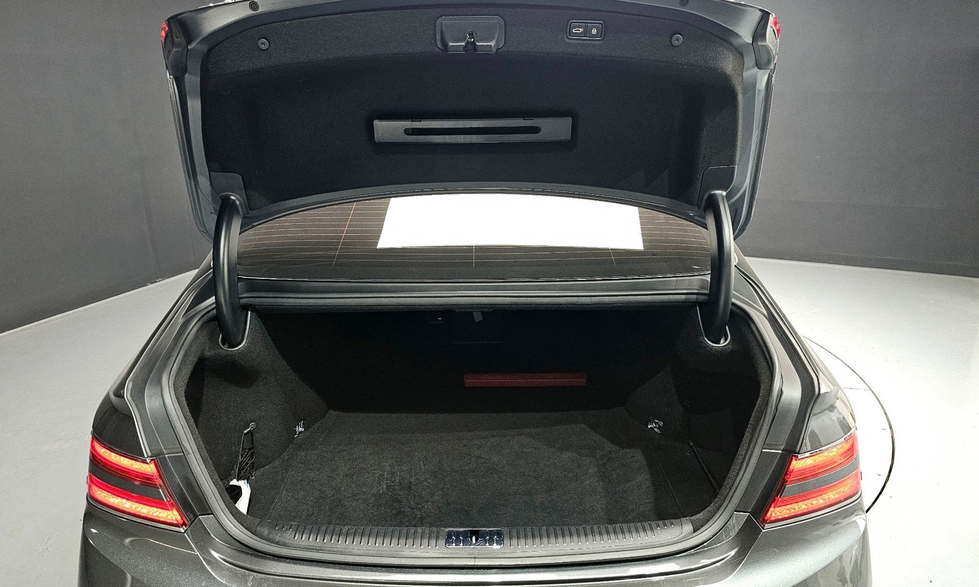 Image 19