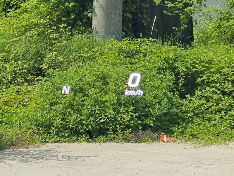 Image 13