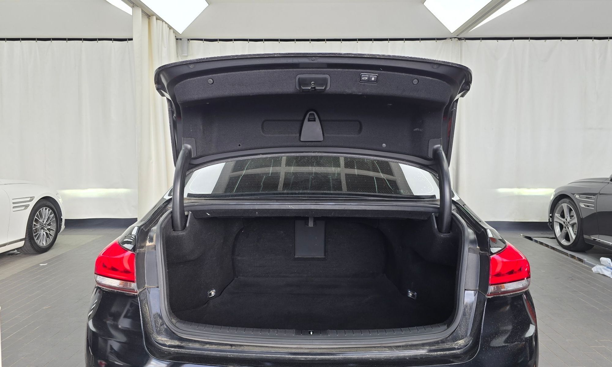 Image 19