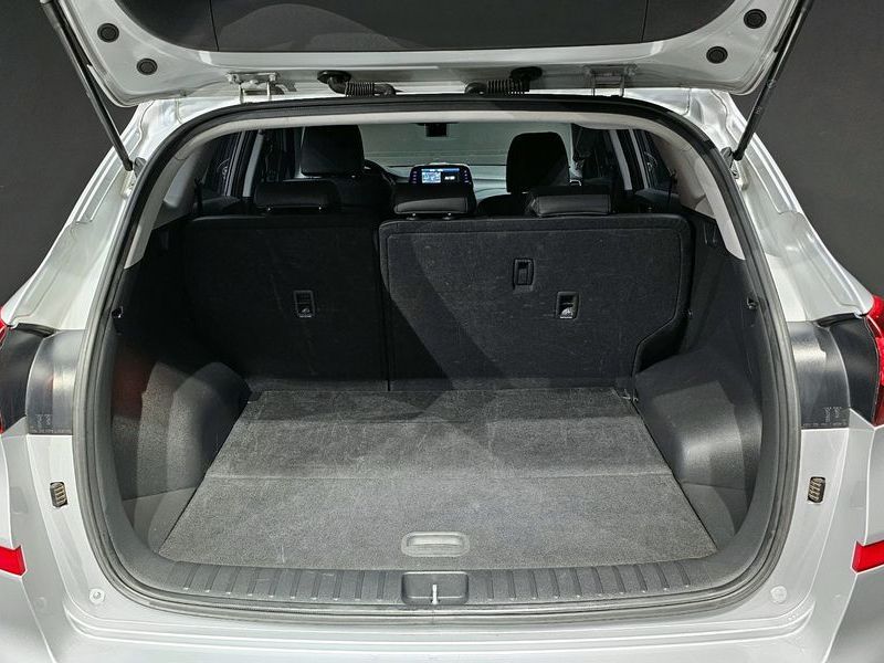 Image 19