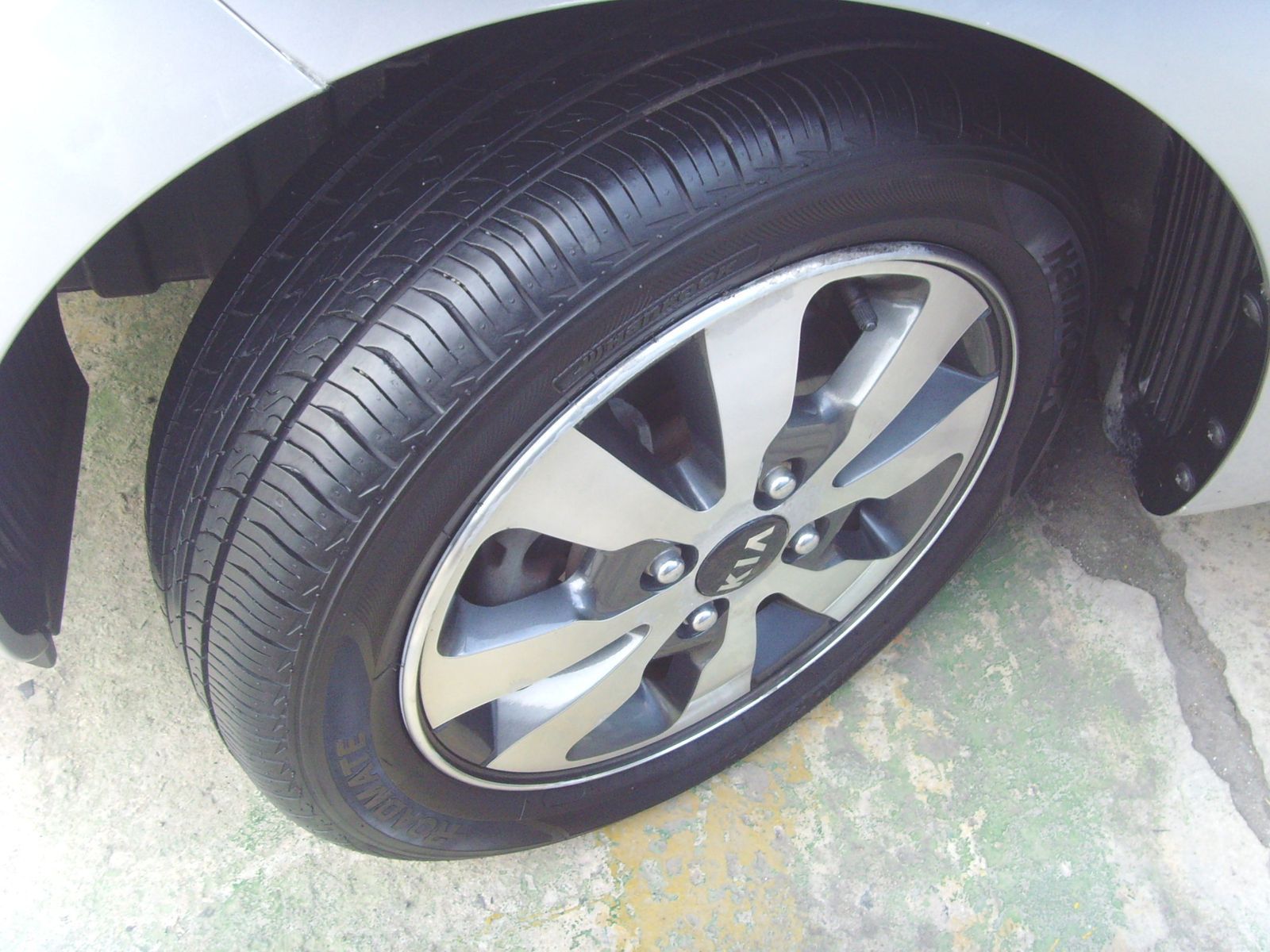 Image 8