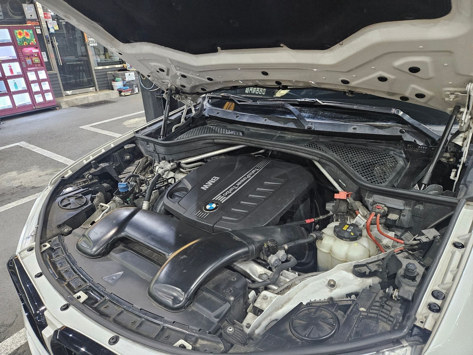 Image 8
