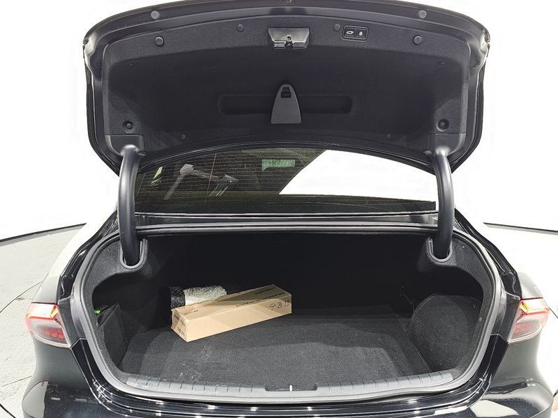 Image 19