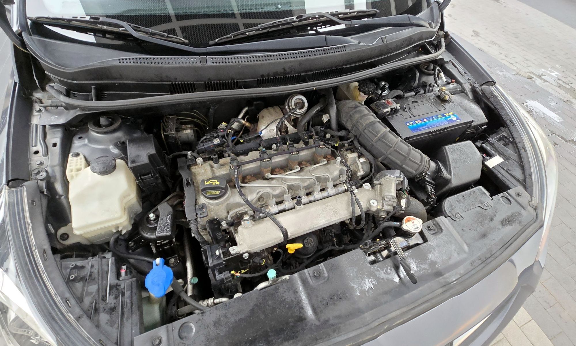 Image 5