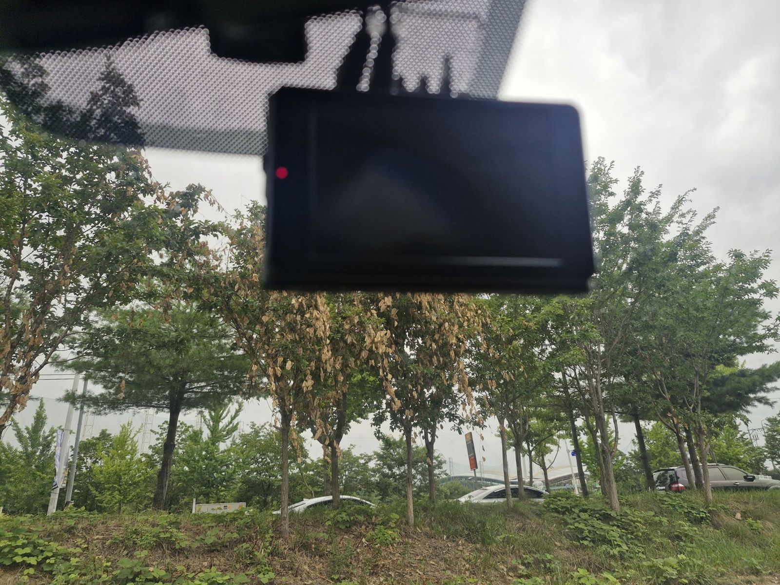 Image 12