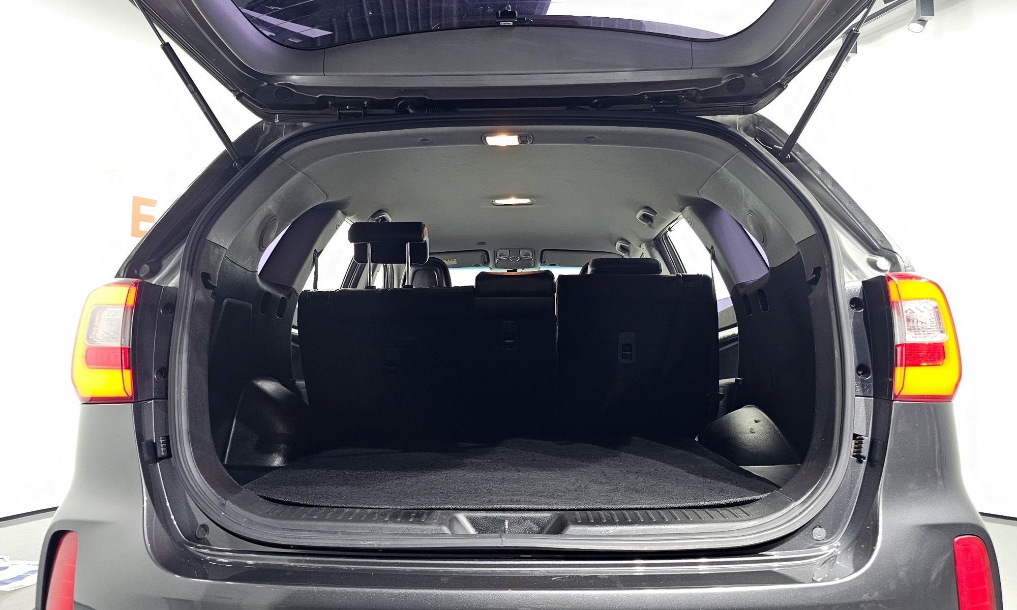 Image 19