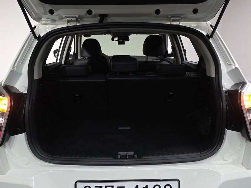 Image 19