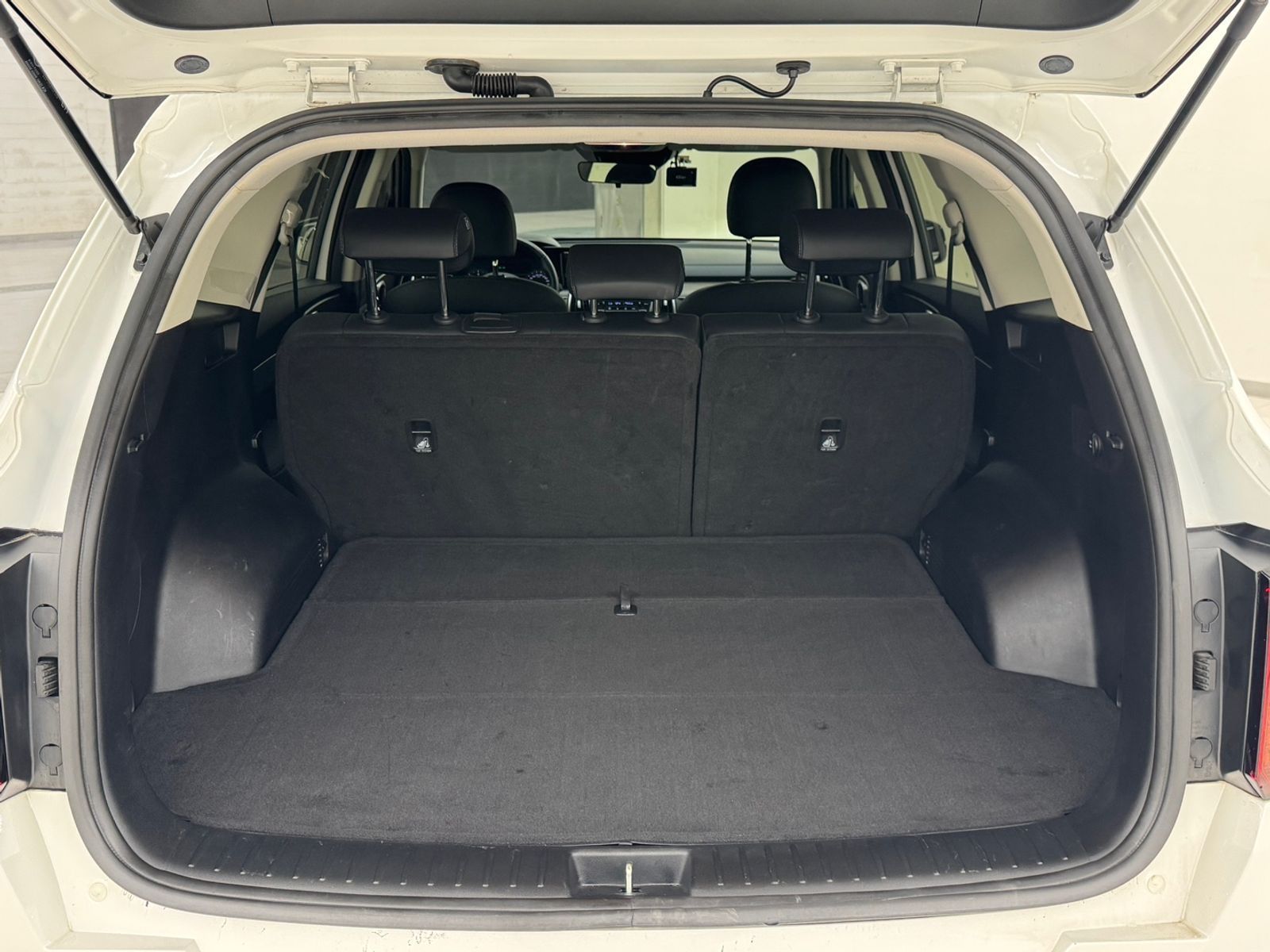 Image 19