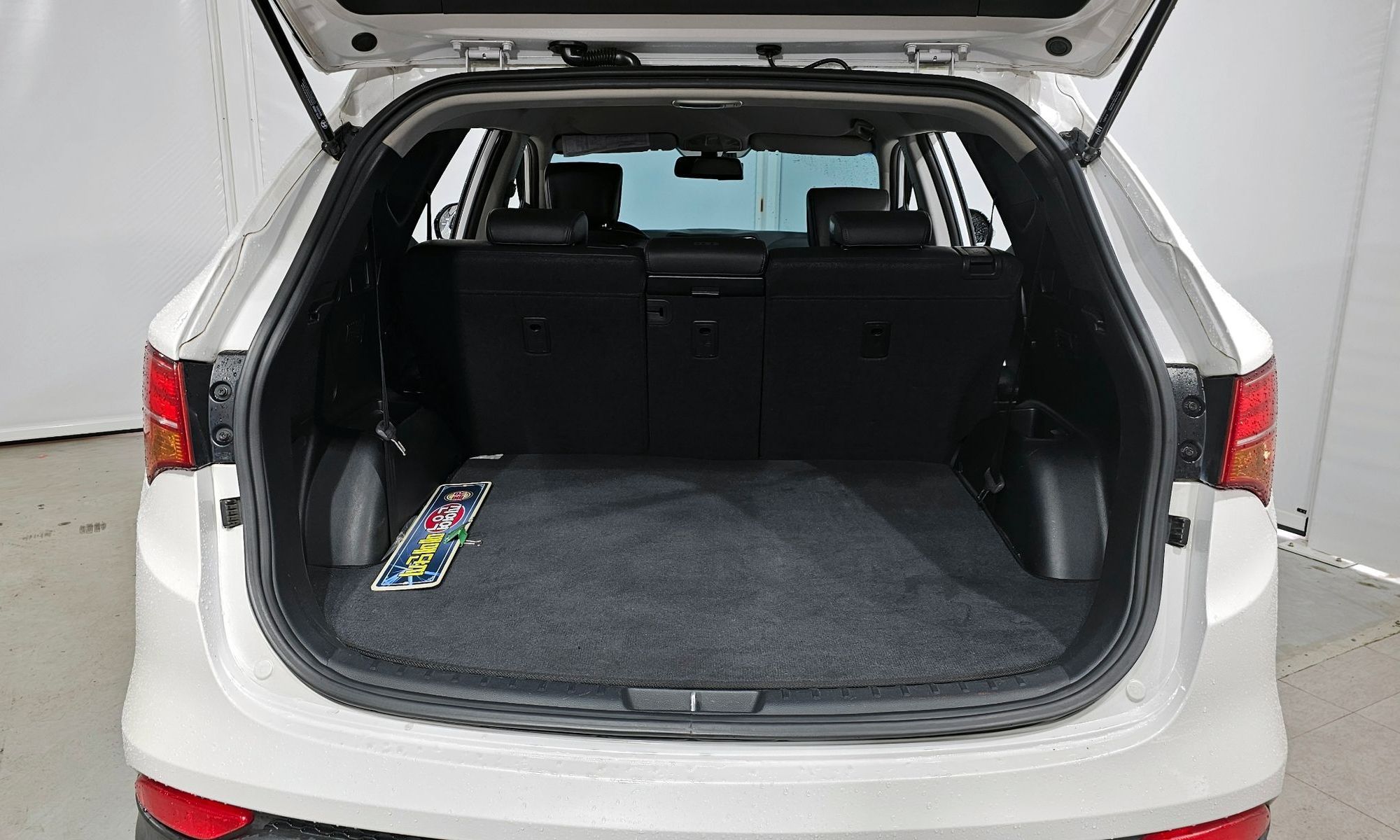 Image 19