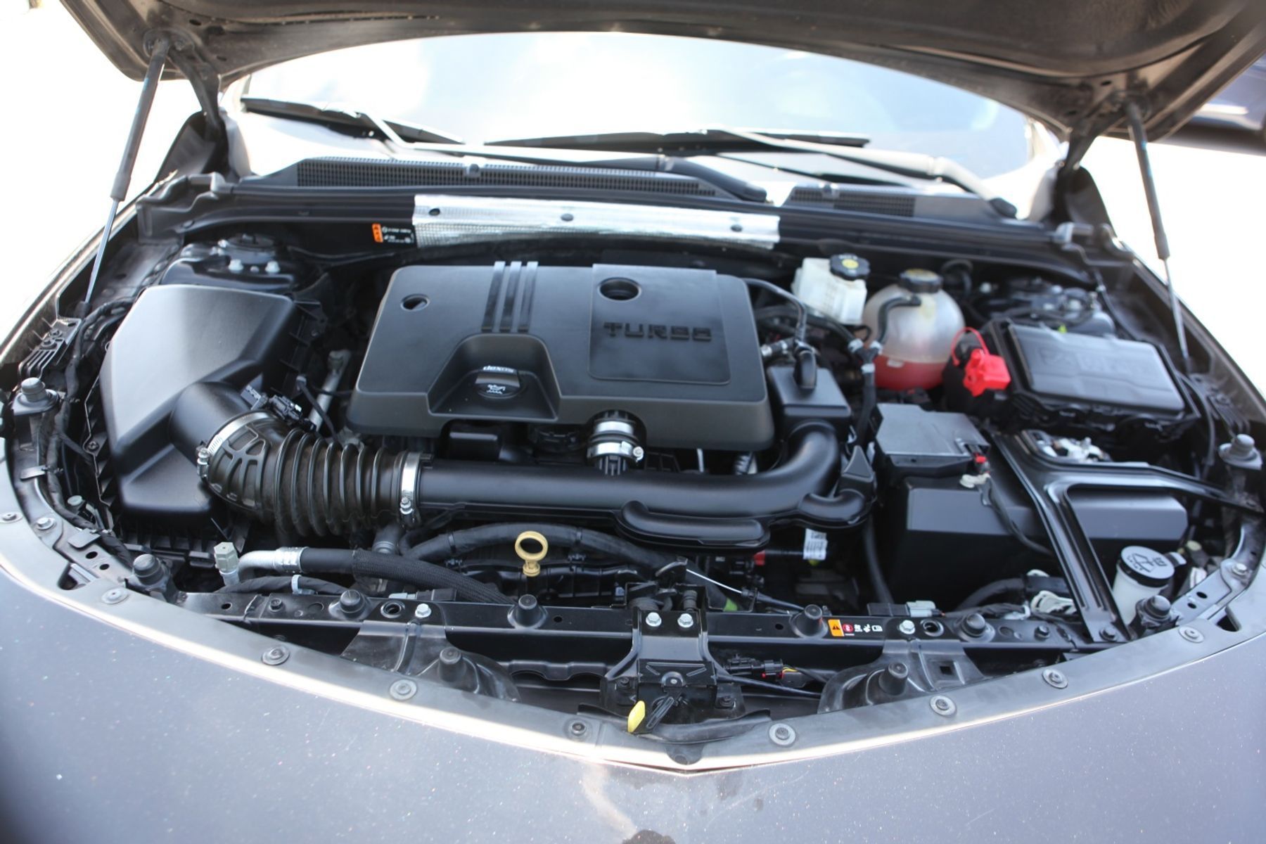 Image 4