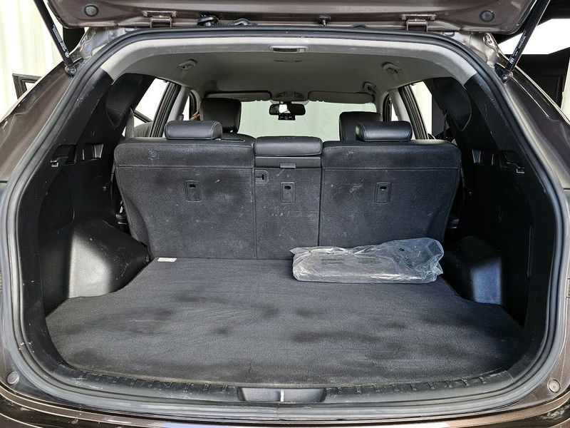 Image 19