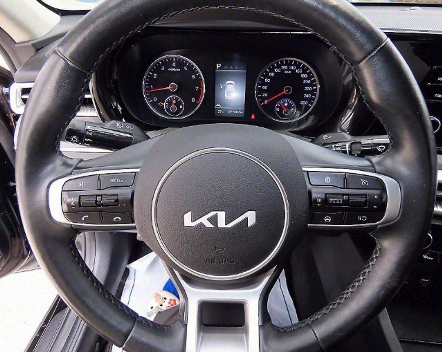 Image 7