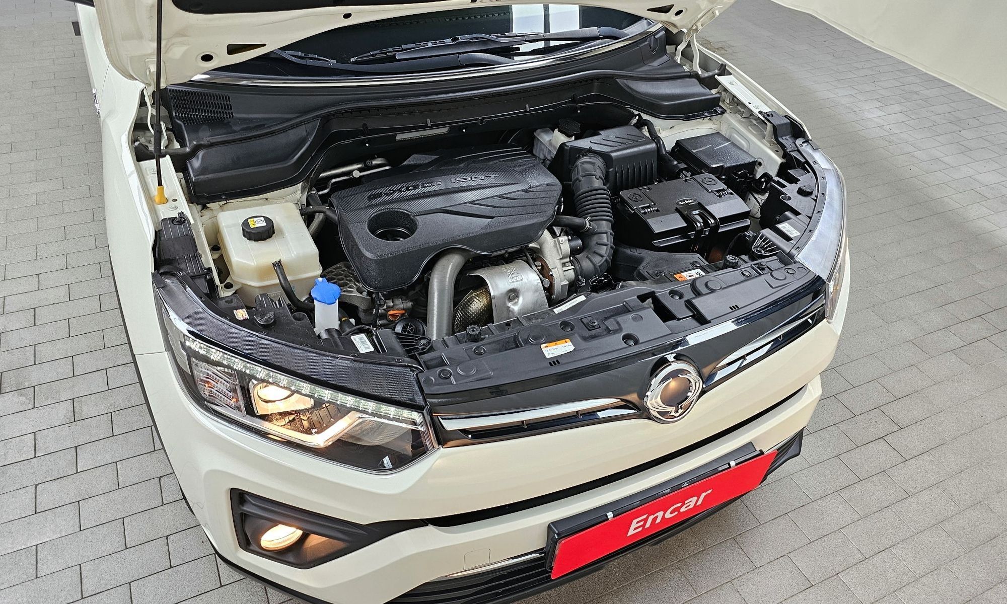 Image 5