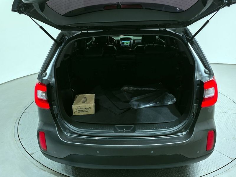 Image 19