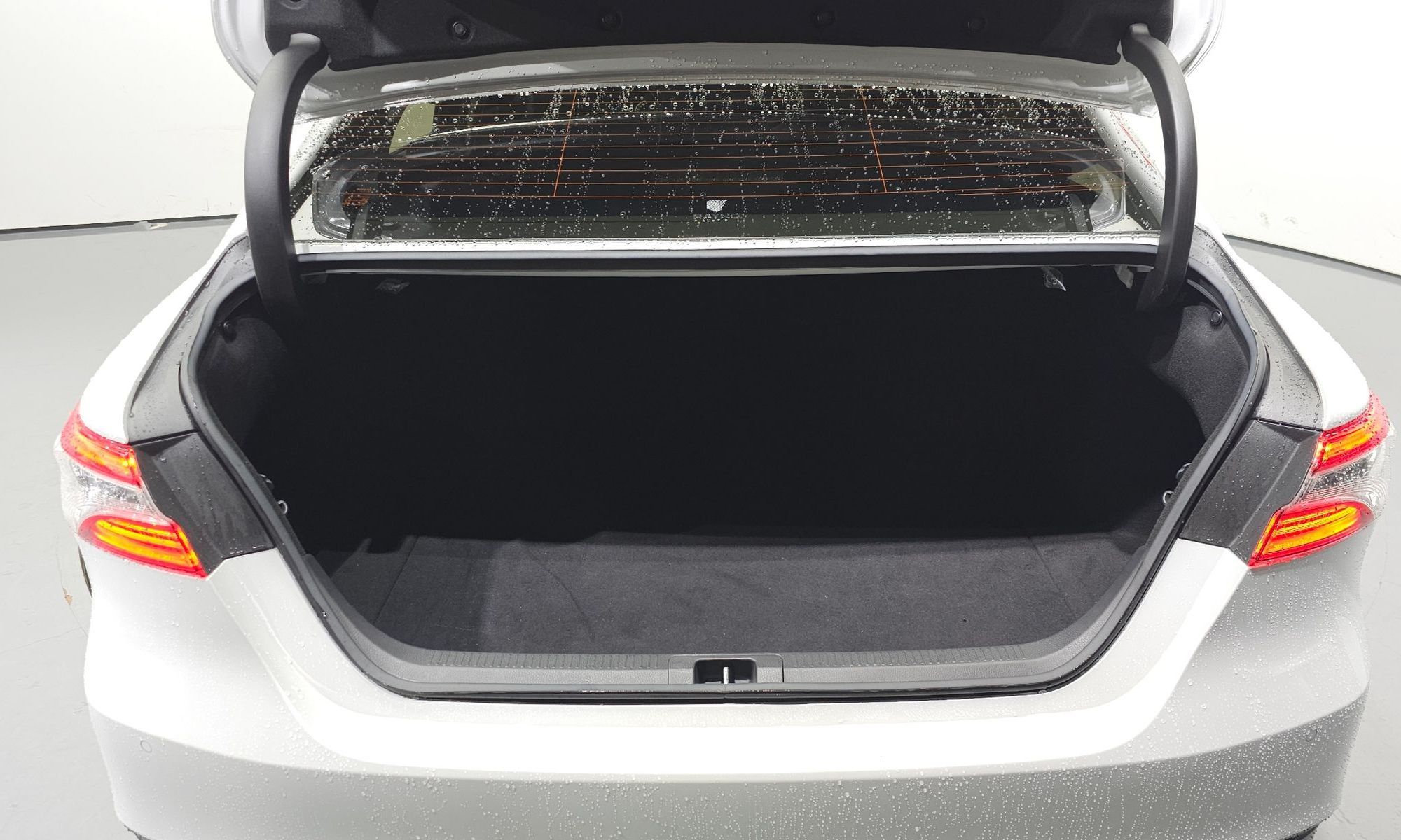 Image 19