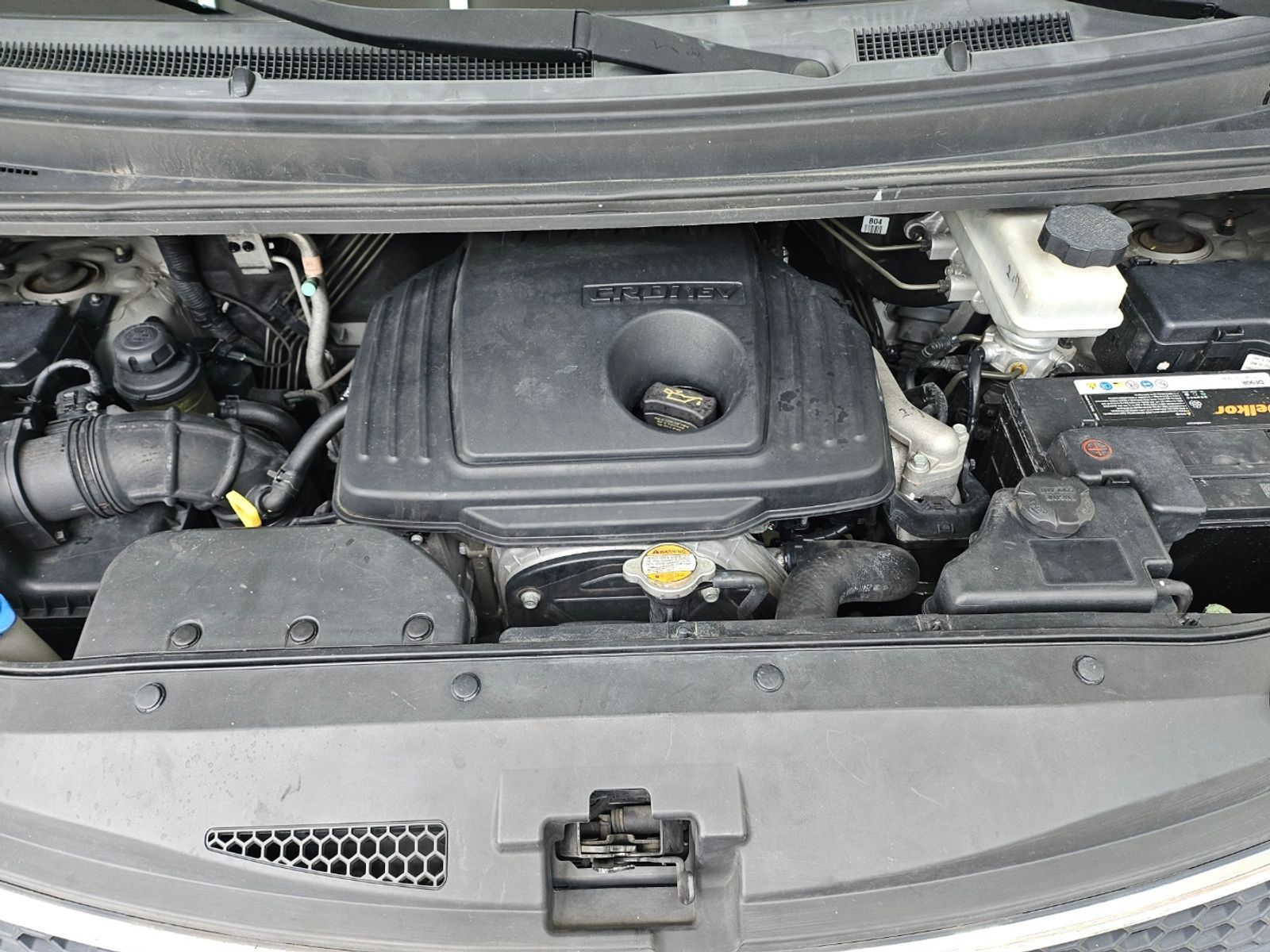 Image 5