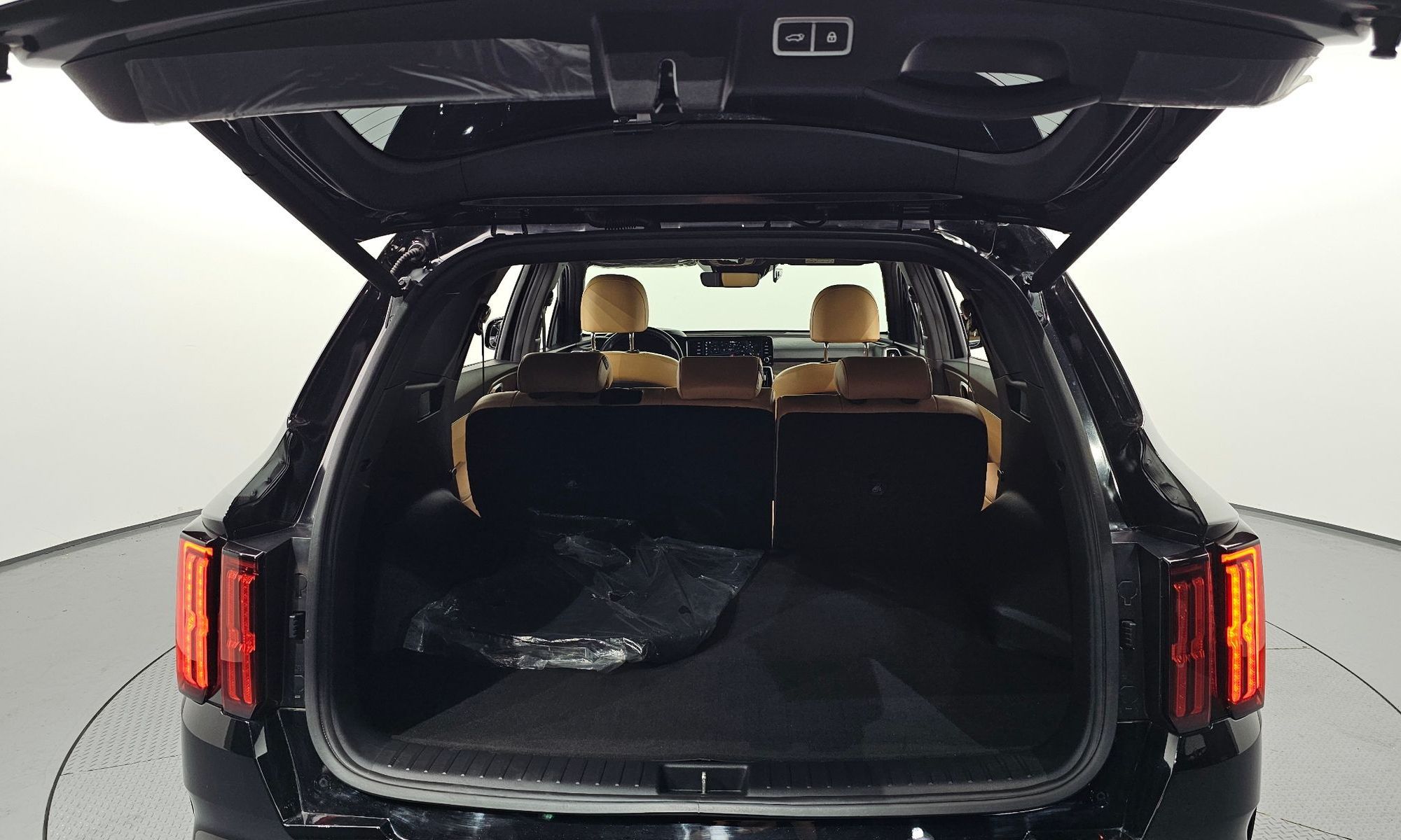 Image 19