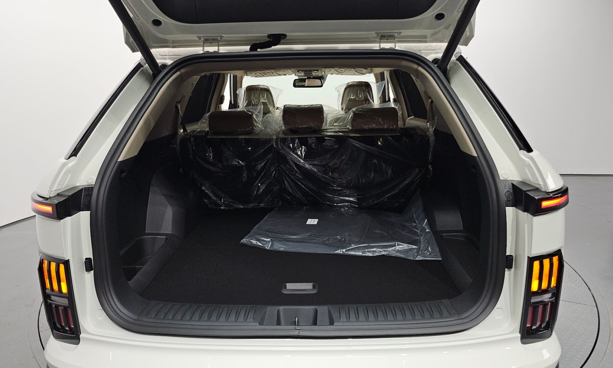 Image 19