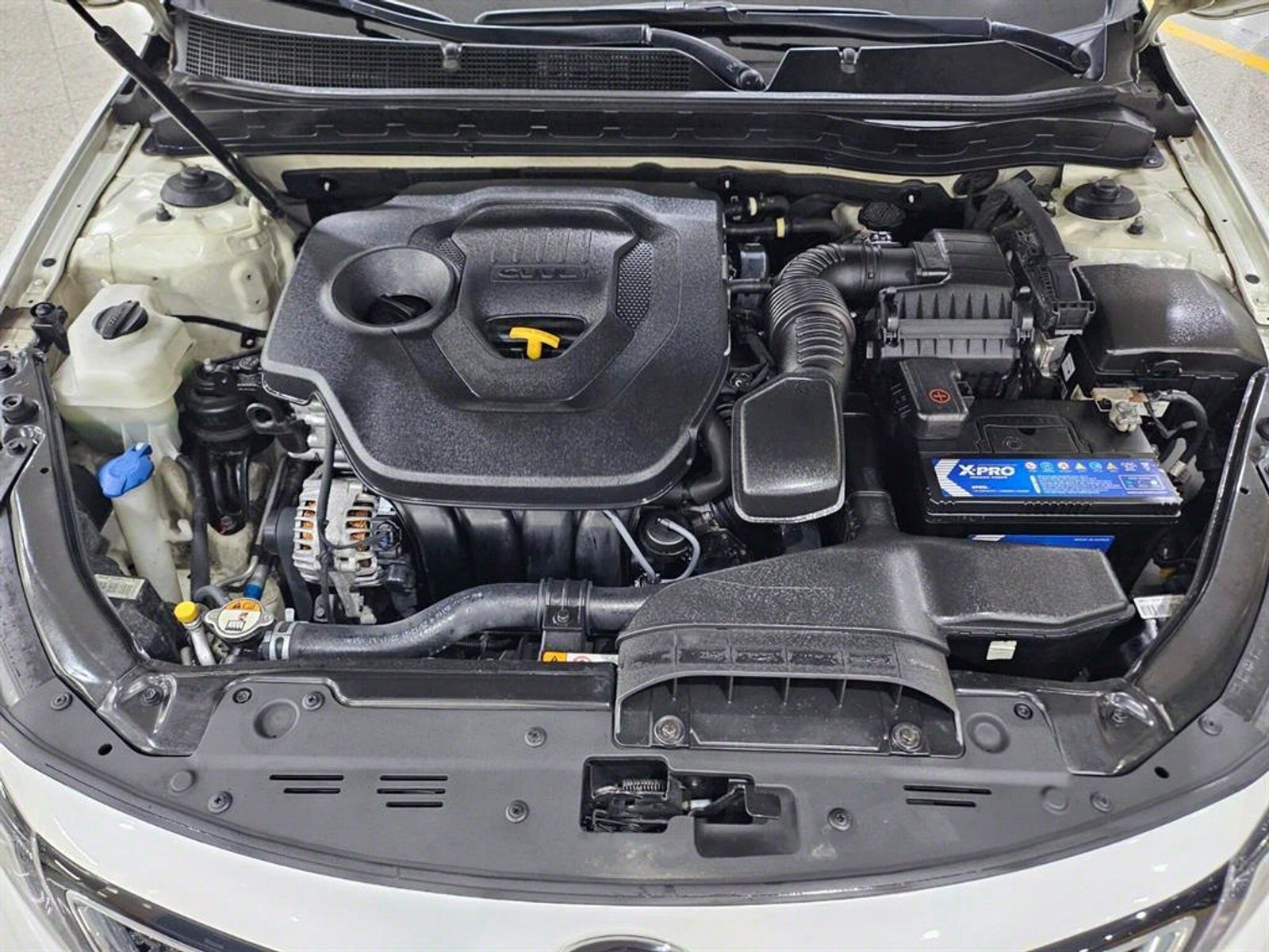Image 5