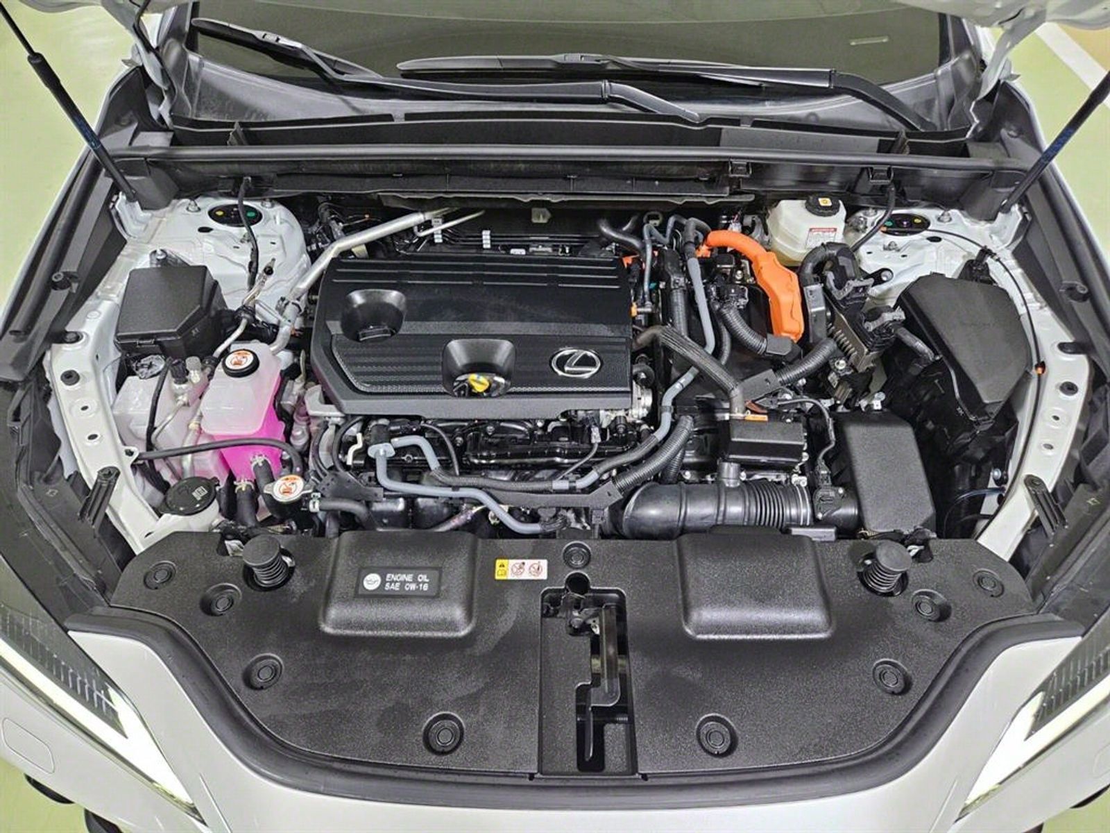 Image 4
