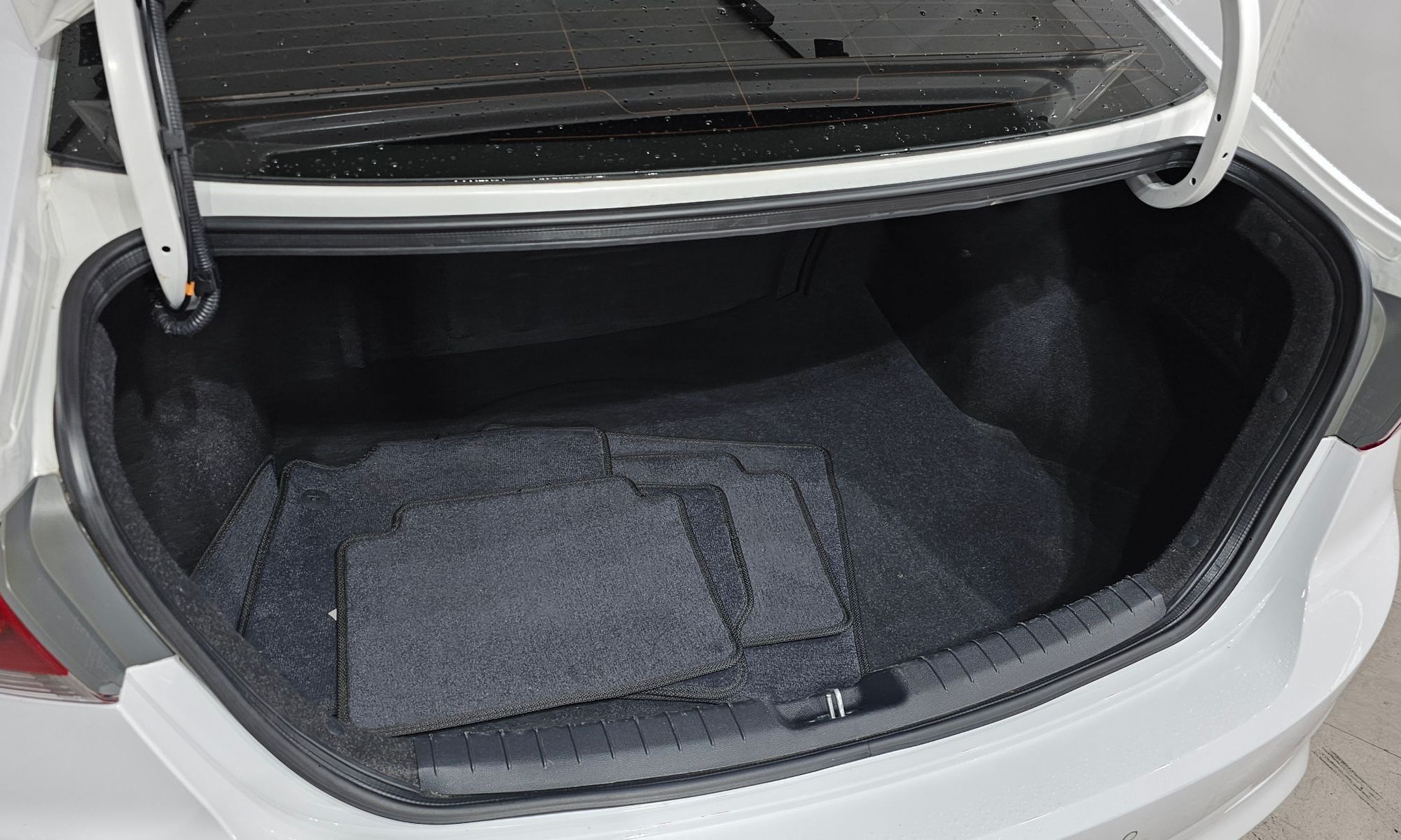 Image 19