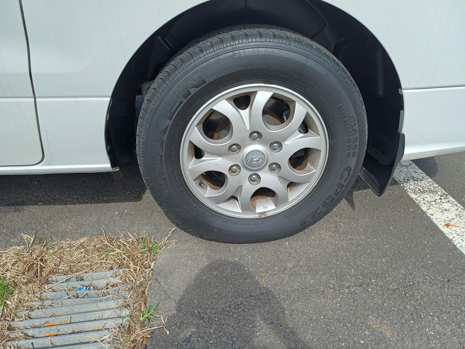 Image 8
