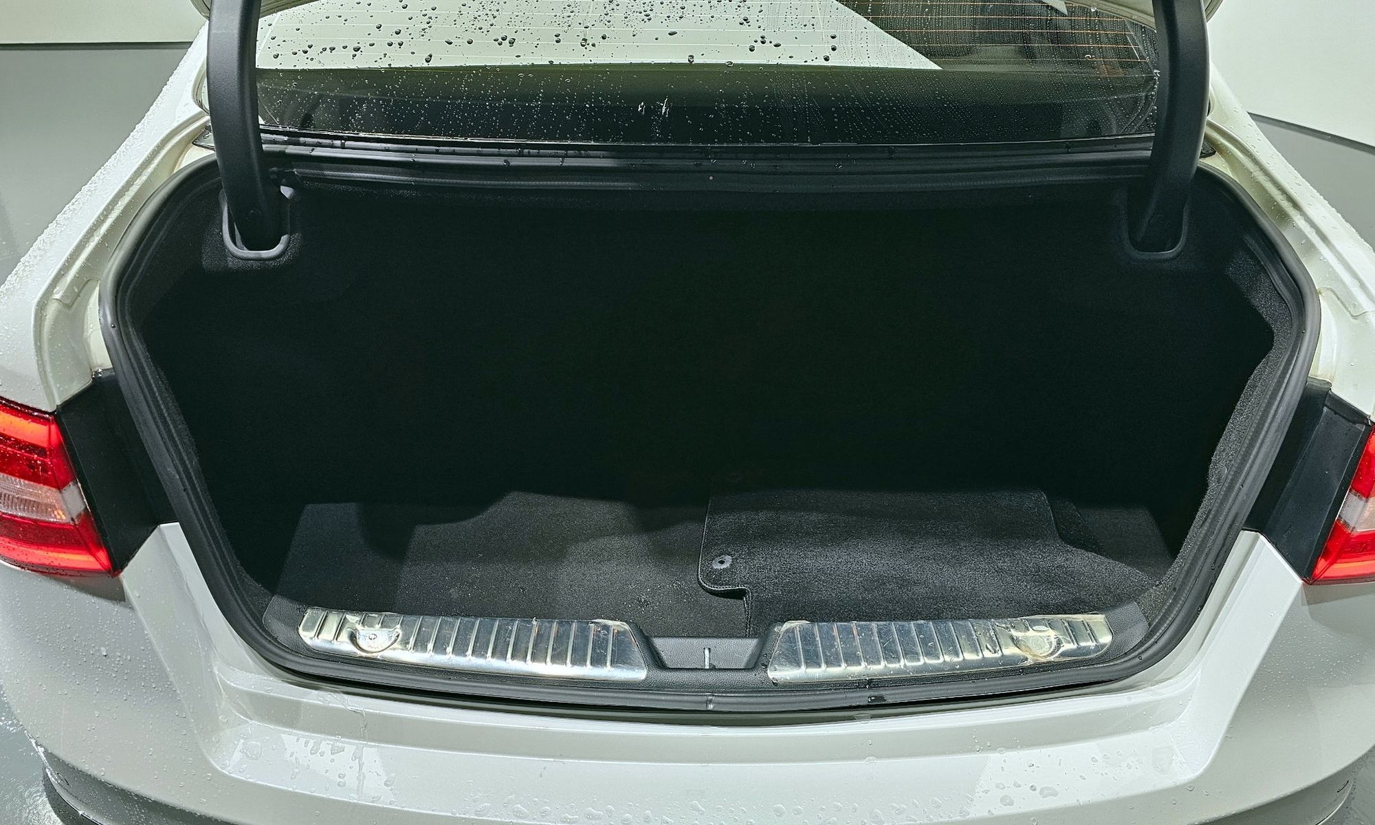 Image 19