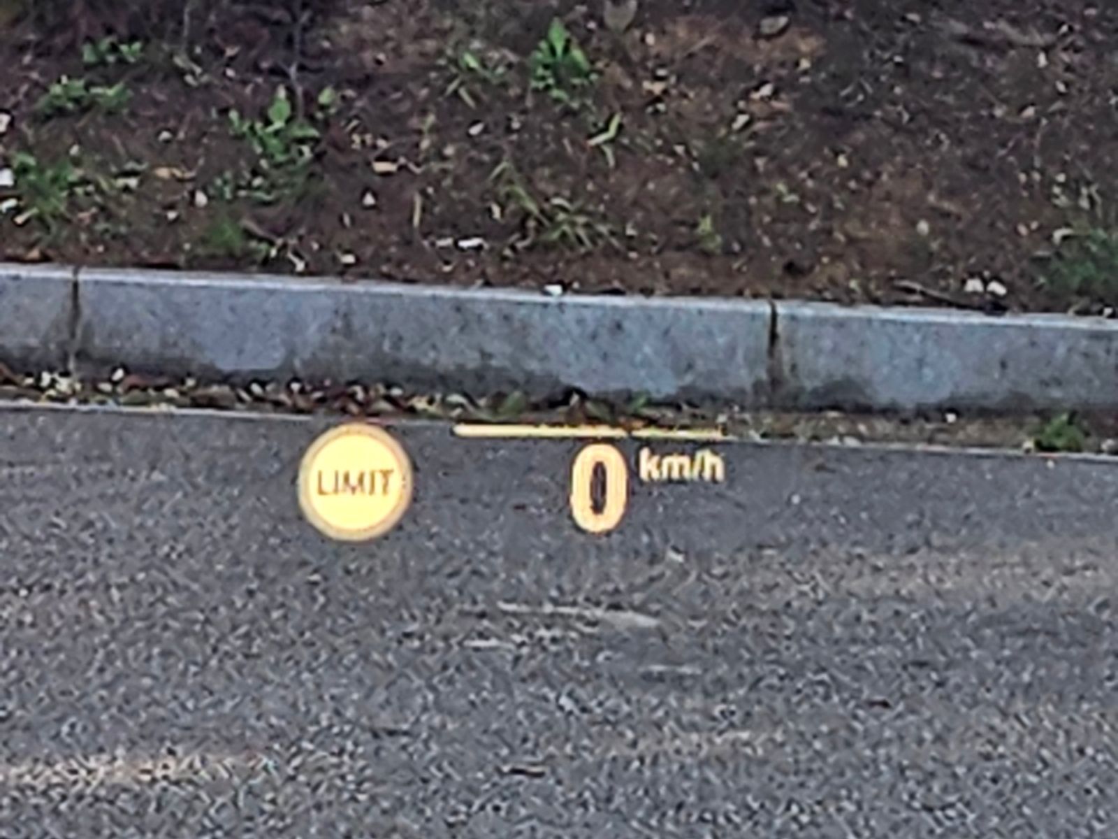 Image 16