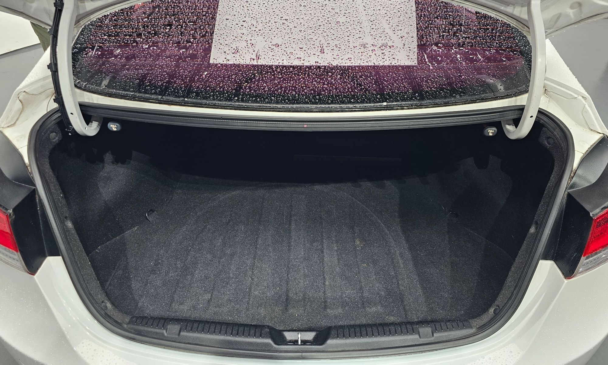 Image 19