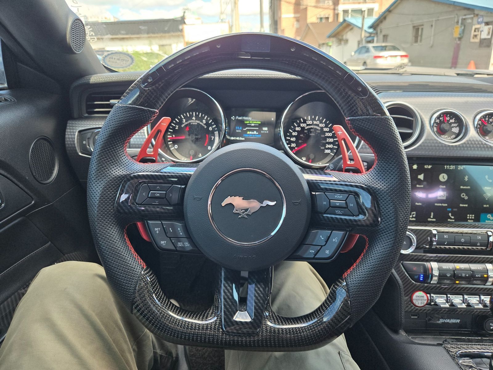 Image 8