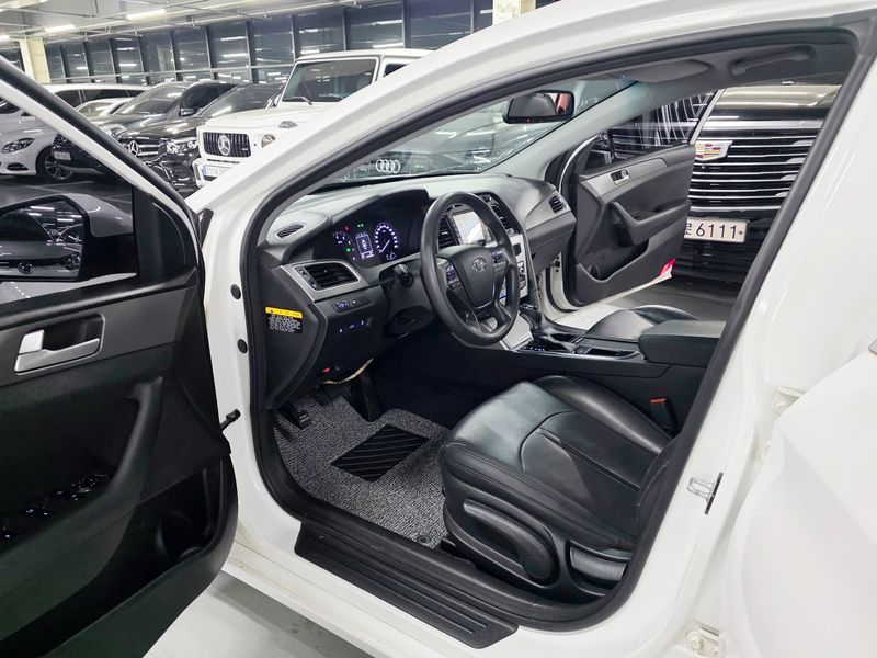 Image 7