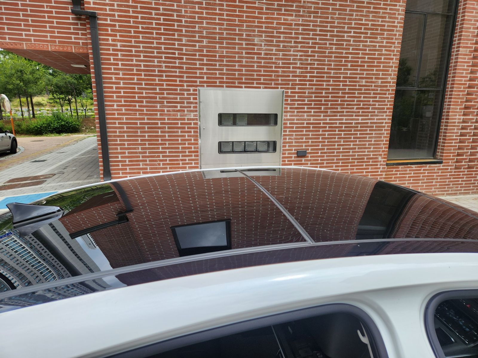 Image 11