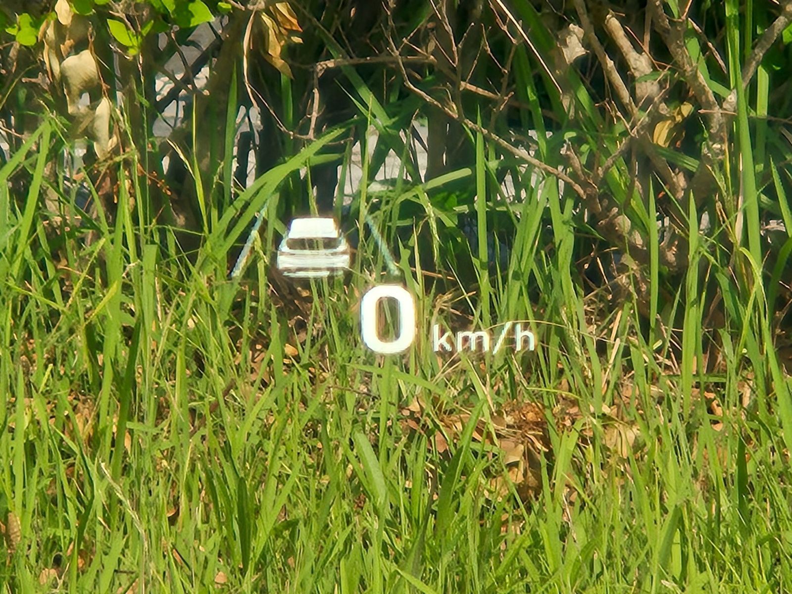 Image 14