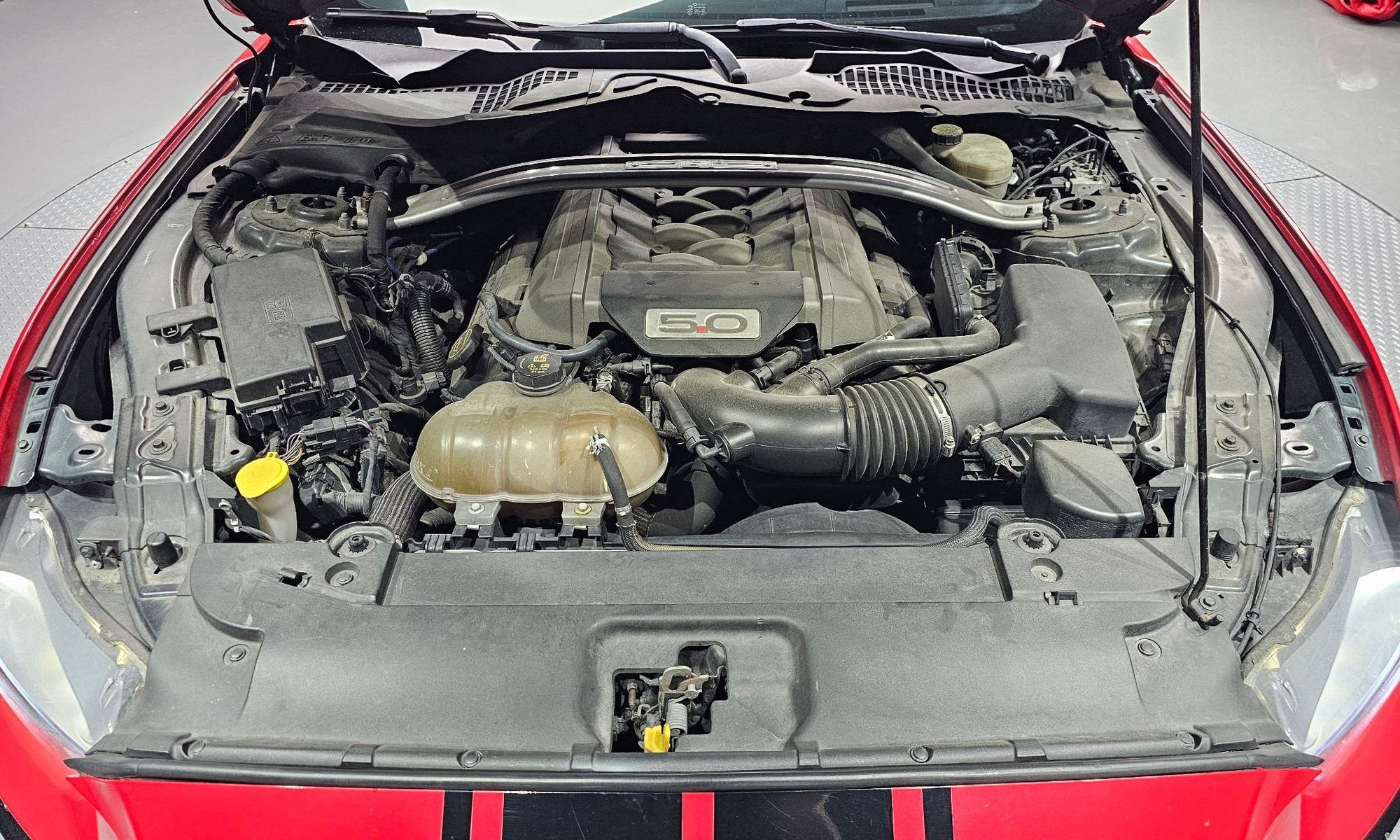 Image 5