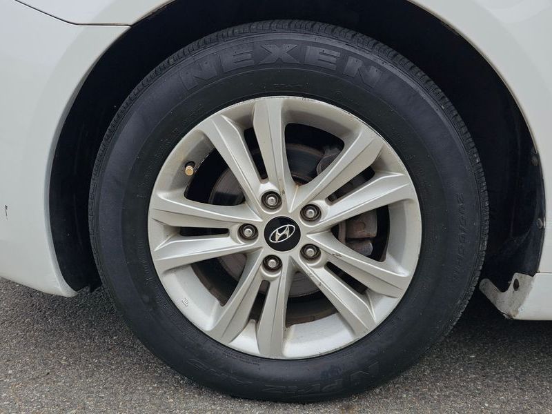 Image 4